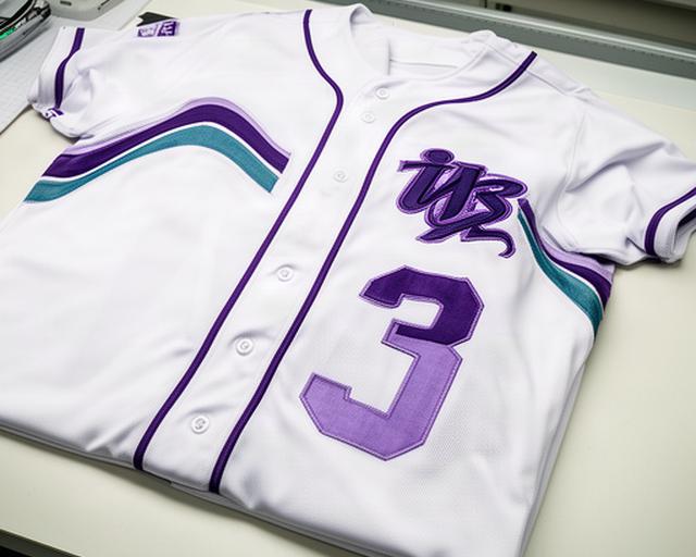 チーム名と背番号を刺しゅうした野球ユニフォームの完成イメージ